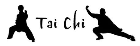 Lake Zurich Tai Chi