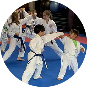 Youth Karate Lake Zurich